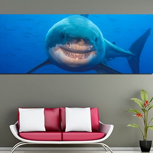 May include: A close-up of a great white shark with its mouth open, showing its sharp teeth. The shark is swimming in blue water.