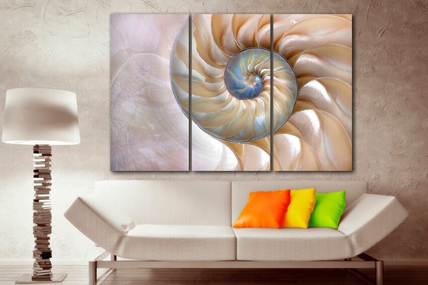 Shell canvas Seashell wall art Nautilus shell Sea shell art Abstract wall decor Elegant print Shell poster Beach art Spiral seashell art