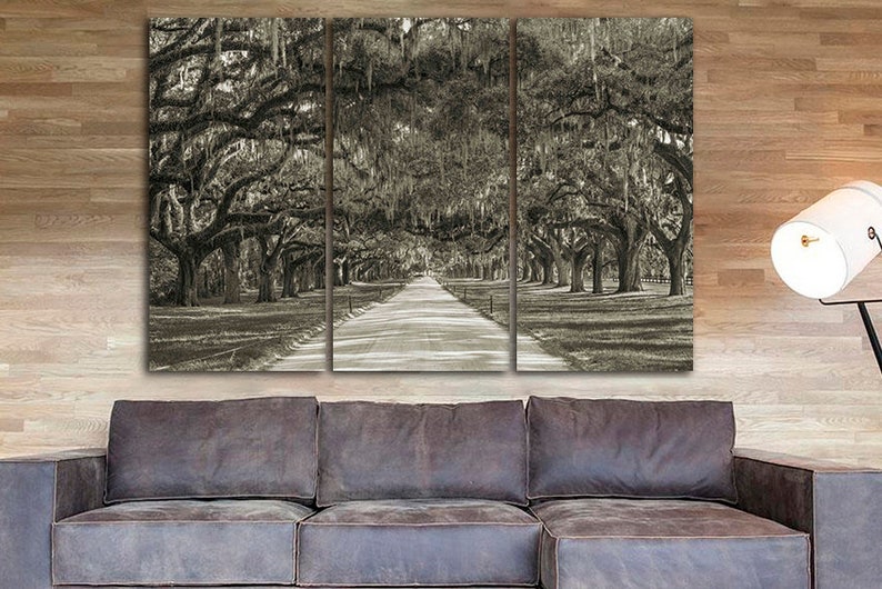 Multi Canvas Art Tree Wall Art Oak Trees Plantation Trees Etsy