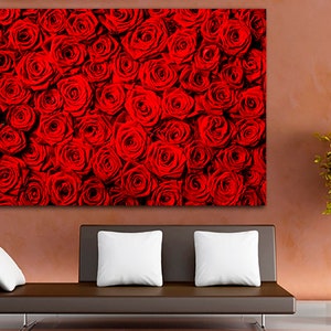 May include: A close-up image of a wall of red roses. The roses are tightly packed together, creating a beautiful and romantic backdrop.