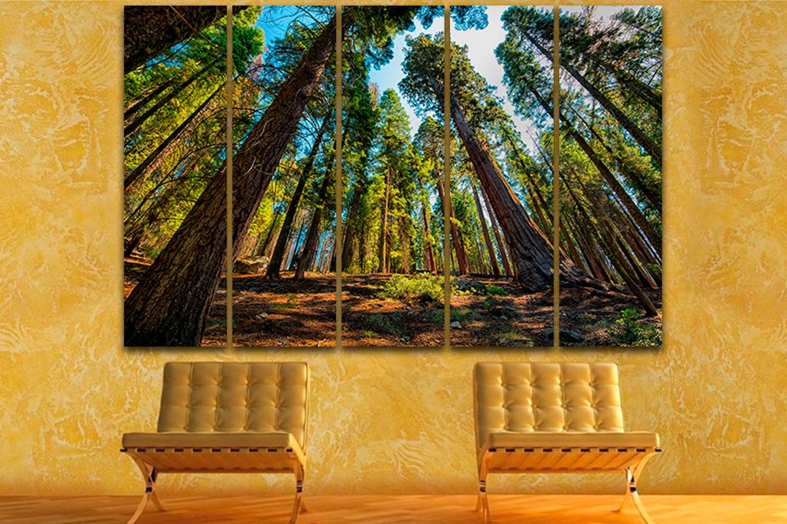 Sequoia Wall Art Forest Canvas Trees Décor Kings National Park Etsy UK