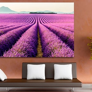 May include: A field of purple lavender flowers in rows, with a distant mountain range in the background.