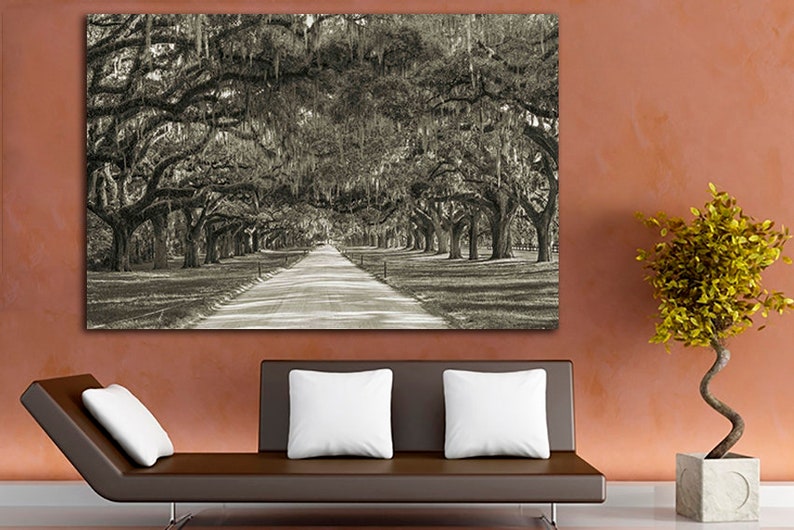 Multi canvas art Tree wall art Oak trees Plantation trees Etsy