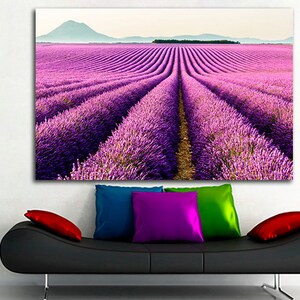 May include: A photograph of a field of lavender flowers in full bloom. The field is divided into rows, and the flowers are a vibrant purple color. The field is surrounded by a green forest, and the sky is a light blue color.