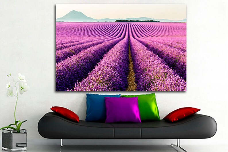 May include: A photograph of a field of lavender flowers in full bloom. The field is divided into rows, and the flowers are a vibrant purple color. The field is surrounded by a green forest, and the sky is a light blue color.