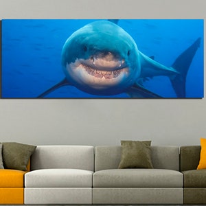 May include: A close-up of a great white shark with its mouth open, showing its teeth. The shark is swimming in blue water.