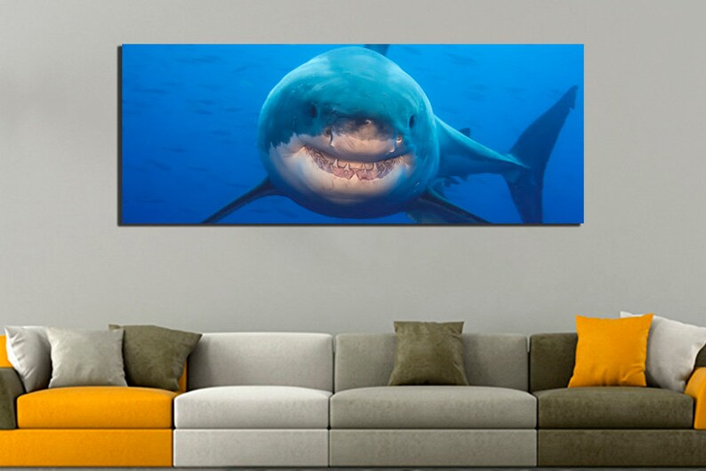 May include: A close-up of a great white shark with its mouth open, showing its teeth. The shark is swimming in blue water.