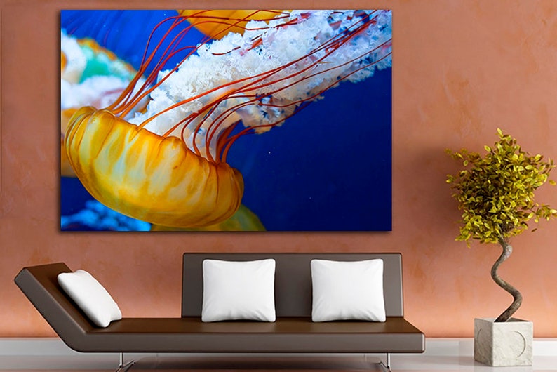Jellyfish Print Animals Art Decor Jellies Art Ocean Wall Art Etsy