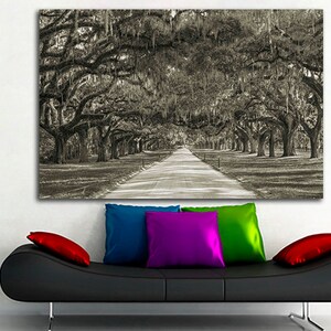 Multi canvas art Tree wall art Oak trees Plantation trees | Etsy