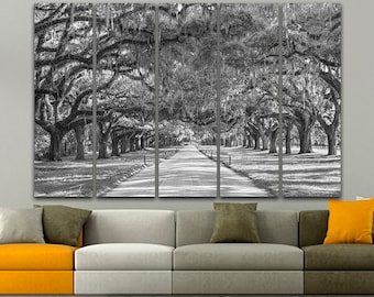 Wall art canvas Oak trees Avenue of oaks Forest wall decor Forest poster Charleston print Black white forest Carolinas trees Spanish moss