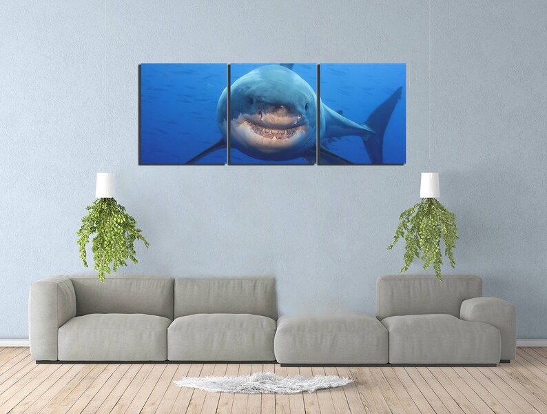 May include: A three-panel canvas print featuring a close-up of a great white shark with its mouth open, showing its teeth. The shark is swimming in blue water.