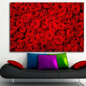 May include: A close-up image of a wall covered in red roses. The roses are arranged in a tight pattern, creating a beautiful and romantic backdrop.
