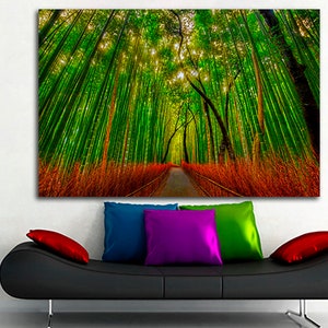 May include: A photograph of a path through a lush green bamboo forest. The tall bamboo stalks create a tunnel effect, with sunlight filtering through the leaves. The path is lined with red and brown foliage.