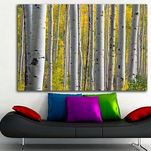 Birch grove print Large canvas art Forest print Birch grove photo Birch grove poster Trees wall art Trees print Nature art Landscape decor