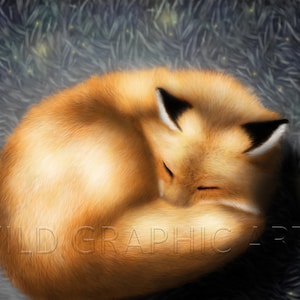 Sleeping Fox Print, Digital Work, Animal Art, Realistic Drawing, Digital Download