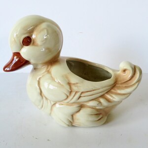 May include: A cream-colored ceramic duck planter featuring a glossy finish with brown accents on the beak and wing feathers. The duck is depicted in a seated position with a hollow opening on its back for holding small items or plants.