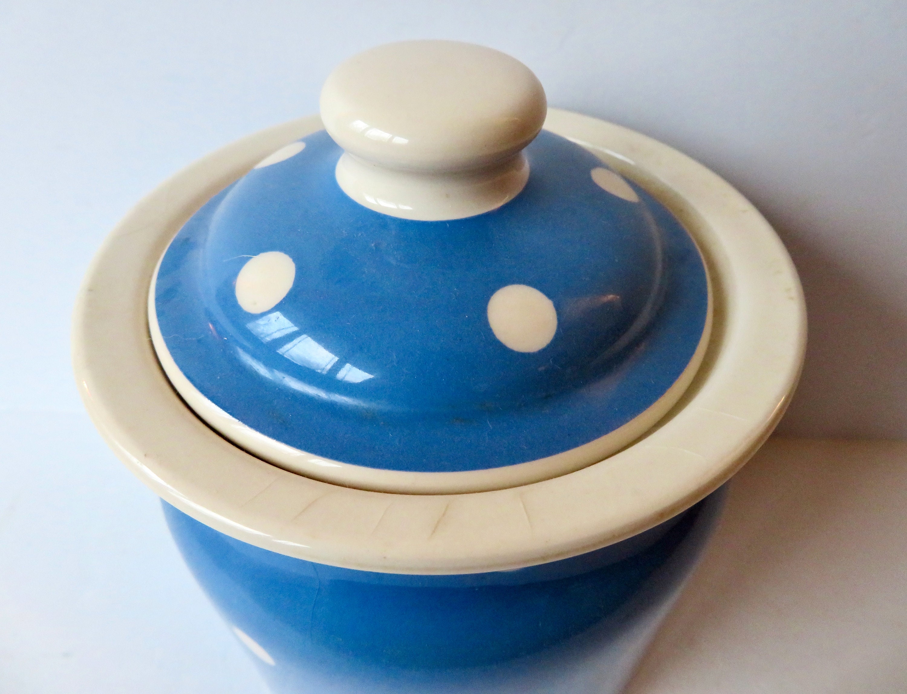 Vintage TG Green England Cloverleaf Blue White Domino Ware Ceramic 