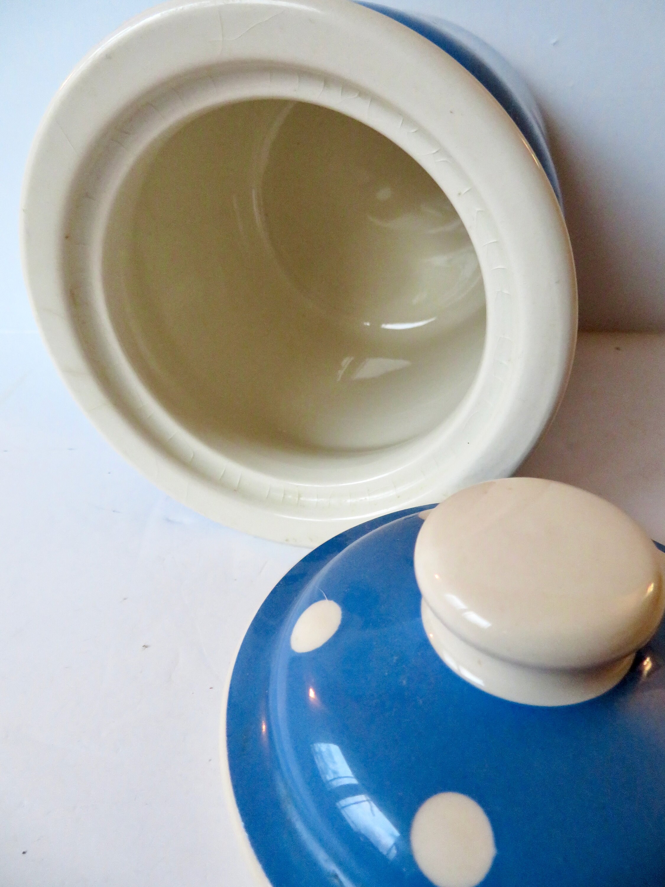 Vintage TG Green England Cloverleaf Blue White Domino Ware Ceramic 