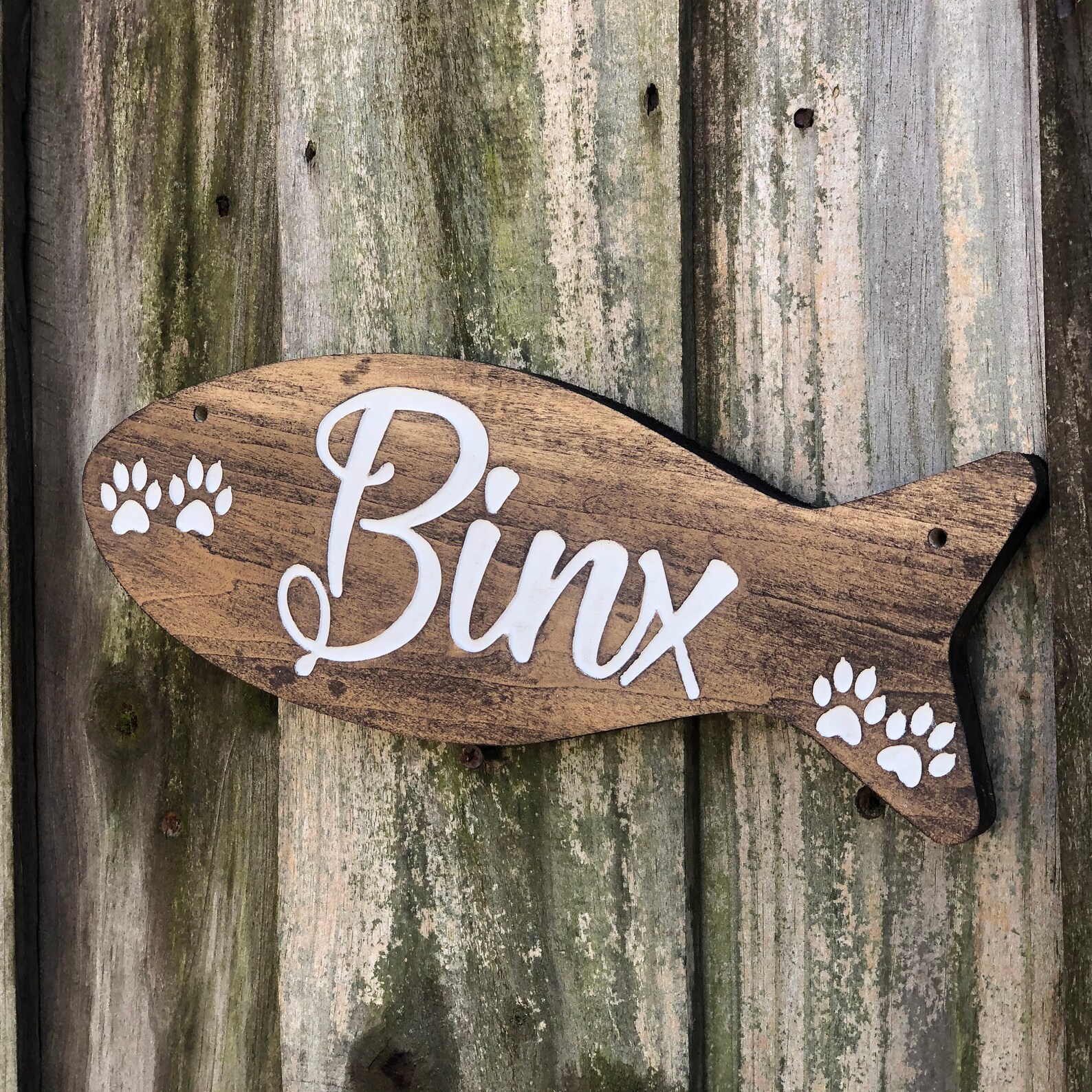 Engraved Signs Personalized Cat Gift Personalized Cat Sign Etsy