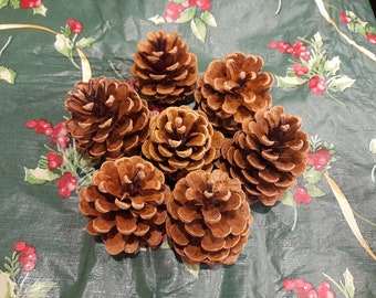 Natural Decorative Pine Cones Autumn Decoration Wreath Decoration Floral Decoration