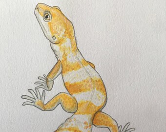 Leopard gecko watercolor