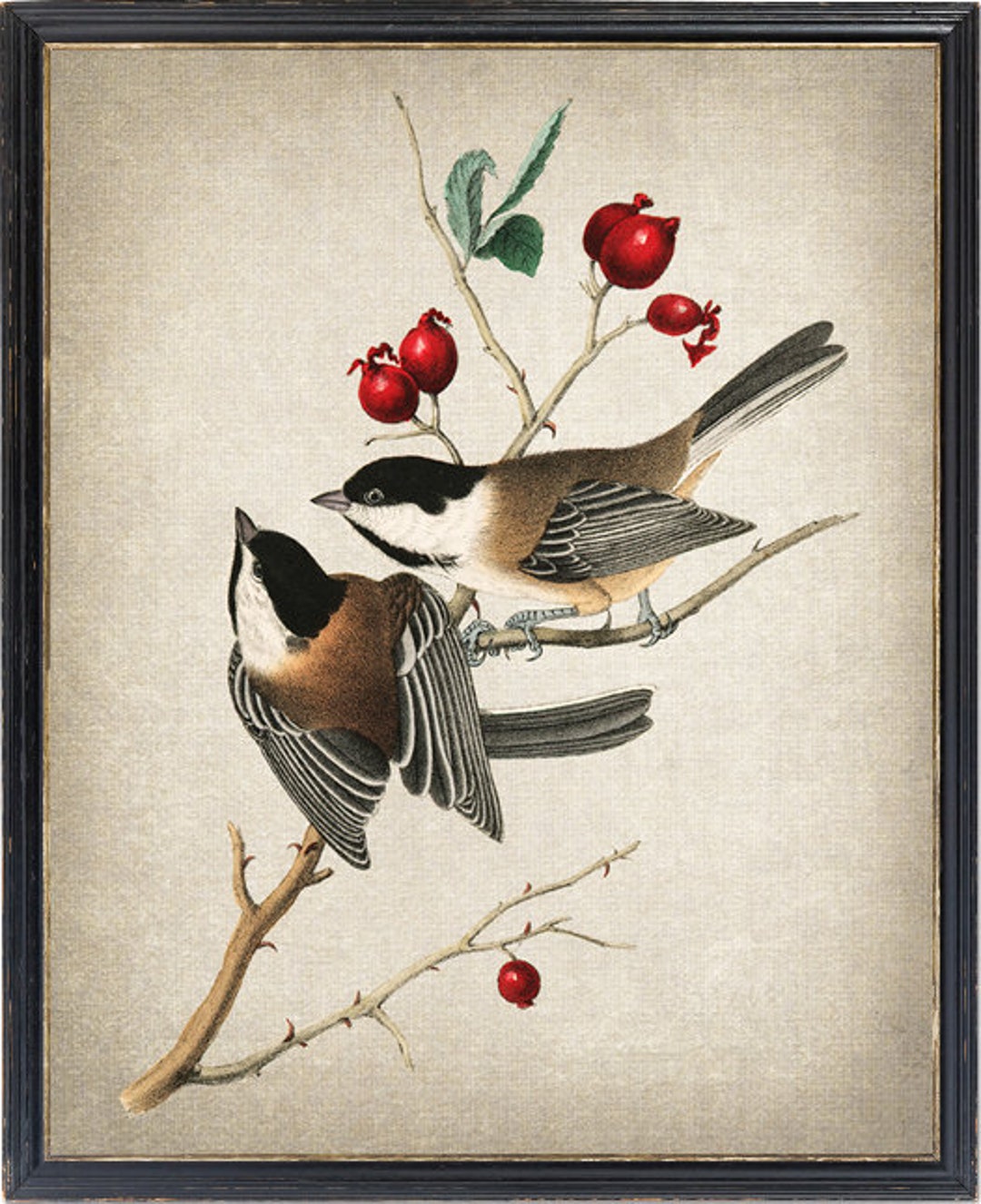ビンテージ！秋峰作　短冊額　鳥獣画　鶏 Vintage Bird Illustration Digital Download, Audubon Art
