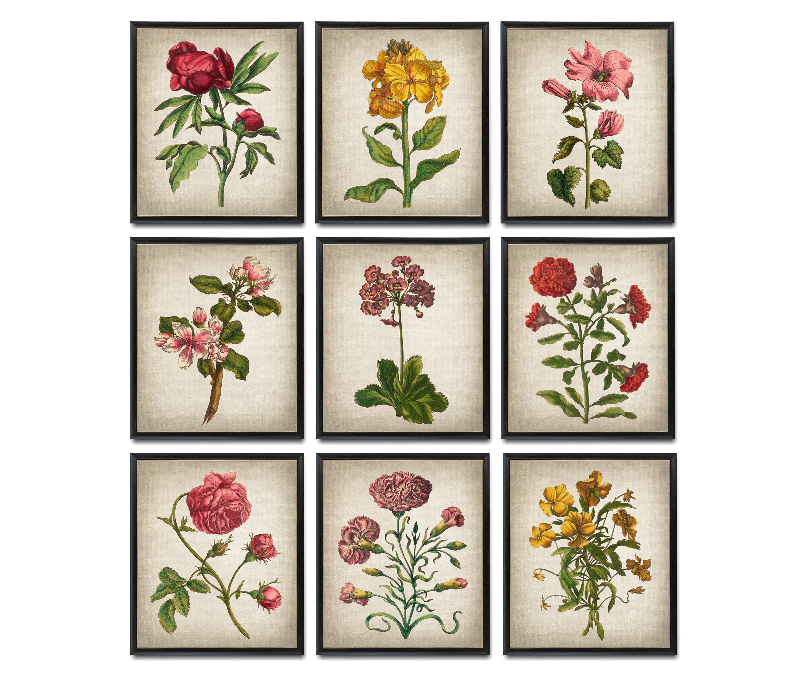 【人気沸騰】 Set Flowers Antique of Floral Century 18th Prints, Digital 9 デザイン