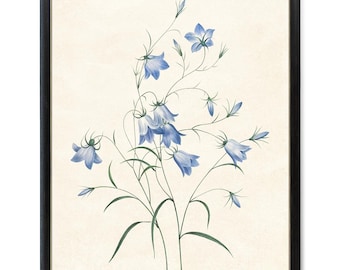 Bluebell Flowers Printable, P.J. Redoute Flower Vintage Illustration,  'Campanule Clochette' Botanical Wall Art INSTANT DOWNLOAD