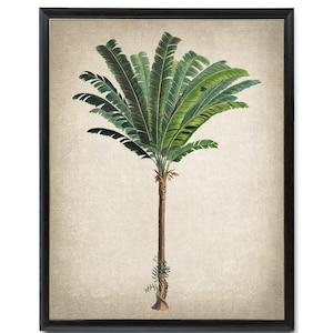 Descarga de palmera, ilustración vintage de palmera Troolie, arte mural botánico imprimible, descarga digital instantánea