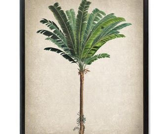 Palm Tree Download, Troolie Palm Vintage Illustration, Botanical Wall Art Printable, Instant Digital Download
