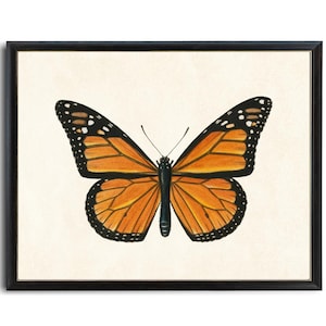 Art imprimable papillon monarque, illustration d'insecte vintage, histoire naturelle, décoration d'art murale minimale TÉLÉCHARGEMENT IMMÉDIAT image 1