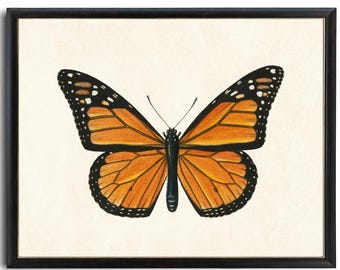 Monarchfalter Schmetterling Druckbare Kunst, Vintage Insekt Illustration, Naturgeschichte, Minimale Wand Kunst Dekor SOFORTIGER DOWNLOAD