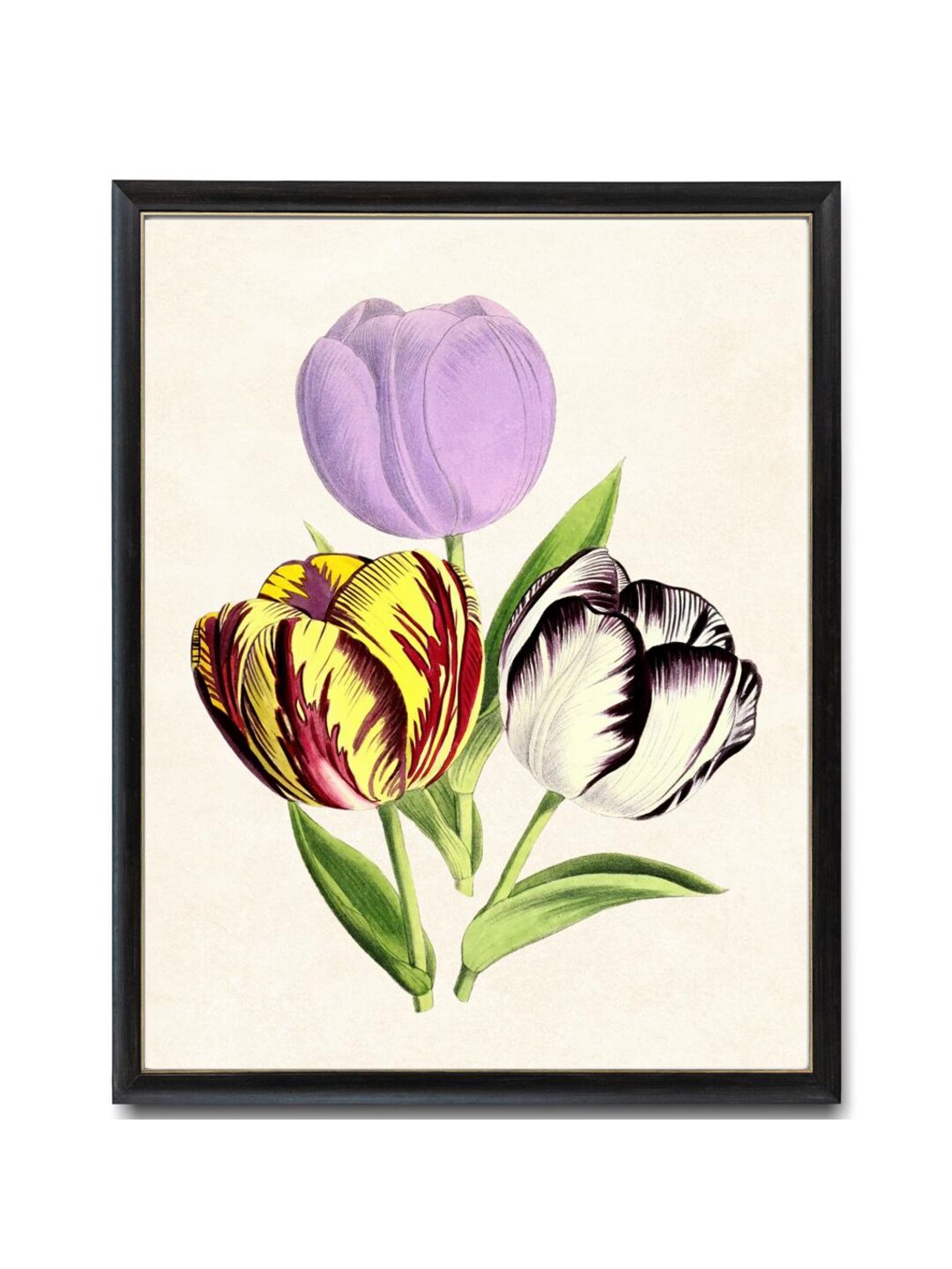 Spring Tulips Digital Print, Vintage Flower Illustration, Printable ...
