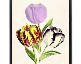 Spring Tulips Digital Print, Vintage Flower Illustration, Printable Tulip Flowers Botanical Wall Art INSTANT DOWNLOAD