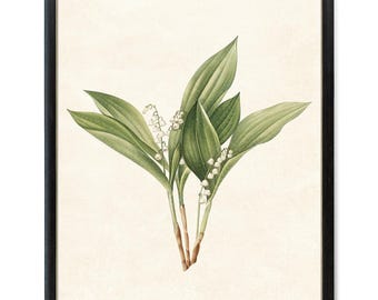 Illustration de fleurs de muguet imprimable, vintage, impression d'art mural botanique TÉLÉCHARGEMENT IMMÉDIAT