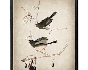 Audubon 'Snow' Birds Printable Art, Vintage Illustration, Bird Print Wall Art INSTANT DOWNLOAD
