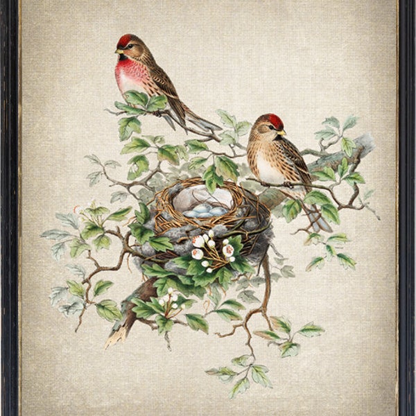 Bird Nest Print Etsy