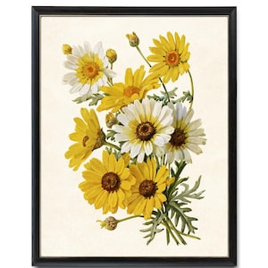 "Herbst Herbst Blumen, ""Mais"" Ringelblume Vintage Aquarell Illustration, Botanische Wand Kunst Druck INSTANT DOWNLOAD."