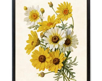 Fleurs d'automne, illustration aquarelle vintage de souci « maïs », impression d'art mural botanique TÉLÉCHARGEMENT IMMÉDIAT