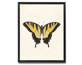 版画 SWALLOWTAIL BUTTERFLY Tiger Swallowtail Butterfly Printable Art, Vintage Insect
