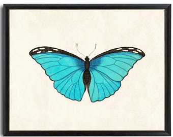 Arte stampabile con farfalla Blue Morpho, illustrazione di insetti vintage, storia naturale, decorazione murale minimalista DOWNLOAD IMMEDIATO