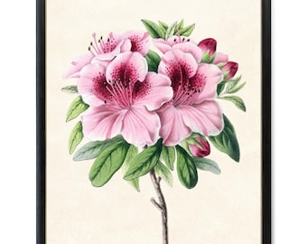 野生の花の植物イラスト、植物プリント、印刷可能なダウンロード