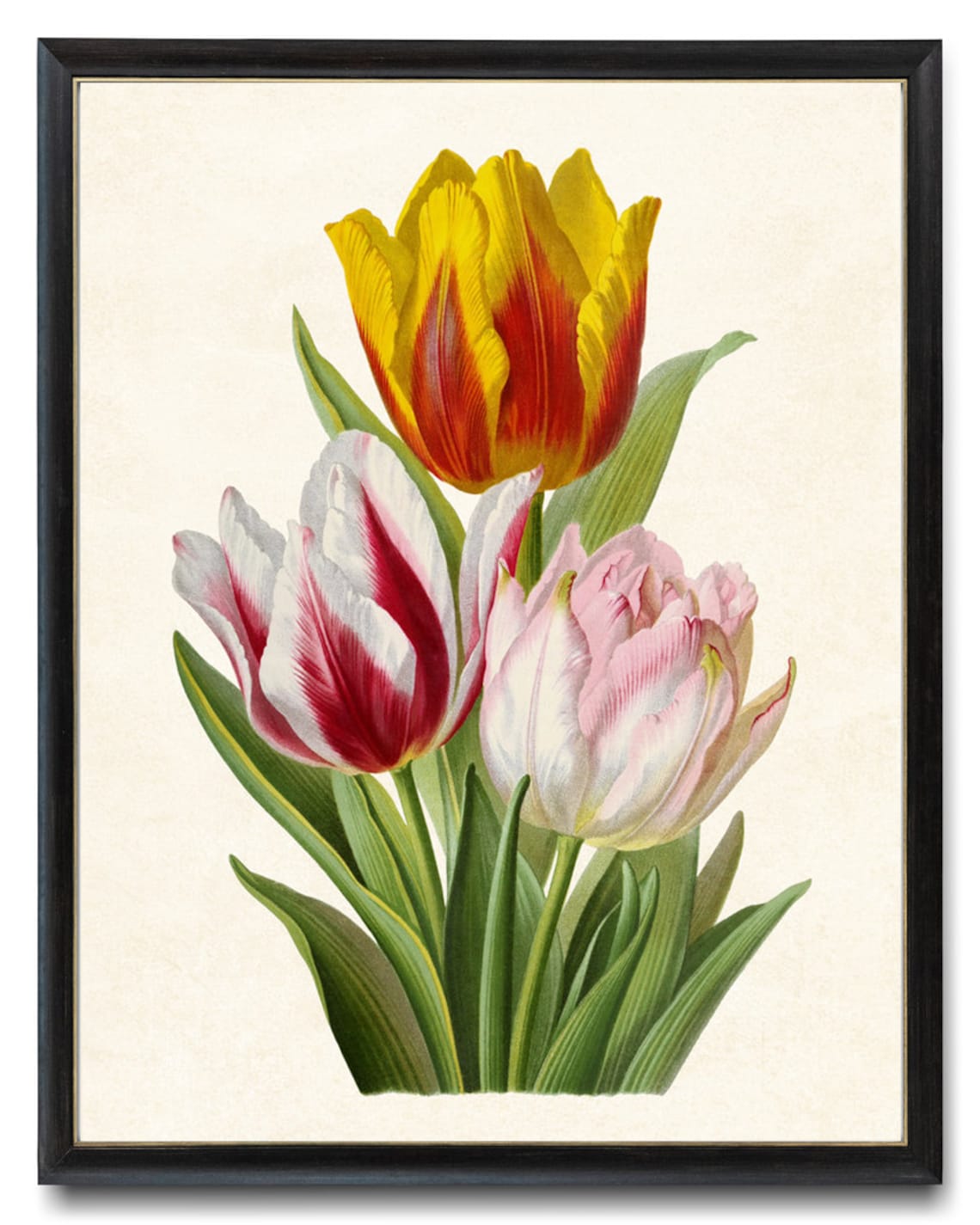 Vintage Tulips Art Print Digital Download Tulip Spring | Etsy