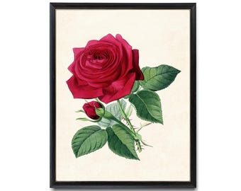 絵画 Red Rose flower-painting-red-rose-