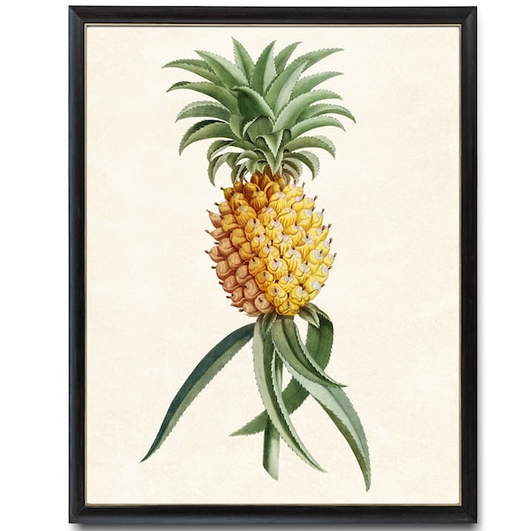 Ananas Print, Antieke Fruit Illustratie, Afdrukbare Keuken Wall Art, Botanische Instant Download