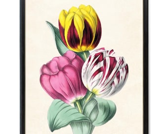 Tulip Flowers Digital Print, Vintage Flower Illustration, Printable Spring Tulips Botanical Wall Art INSTANT DOWNLOAD