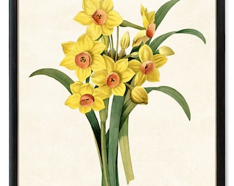 Impresión de narcisos amarillos de hasta 24 x 30 pulgadas, ilustración floral vintage, arte botánico para pared, descarga instantánea.