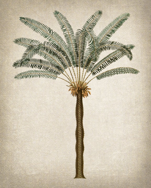 Prints Antique Greenery Print Digital Download Tropical Wall Decor Boho