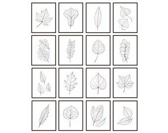 Leaf Line Art Printables, Set of 16 Vintage Botanical Drawings, Black and White Decor, Minimalist Prints INSTANT DOWNLOAD