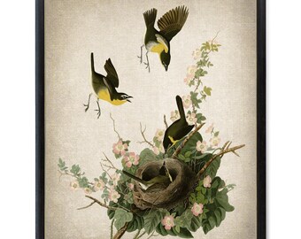 Impresión de pájaro vintage, ilustración de chatarrero pechiamarillo, arte mural imprimible, descarga digital instantánea
